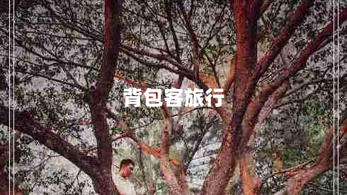 背包客旅行 背包客旅行