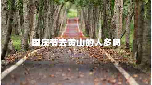 國(guó)慶節(jié)去黃山的人多嗎 國(guó)慶節(jié)去黃山的人多嗎
