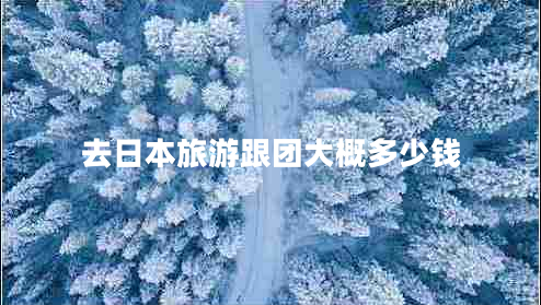 去日本旅游跟團(tuán)大概多少錢(qián)