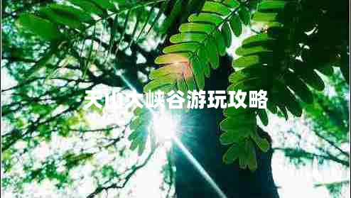 天山大峽谷游玩攻略