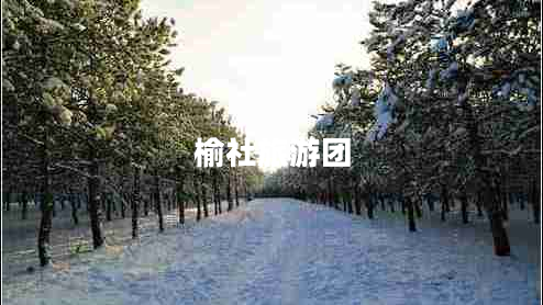 榆社旅游團(tuán)