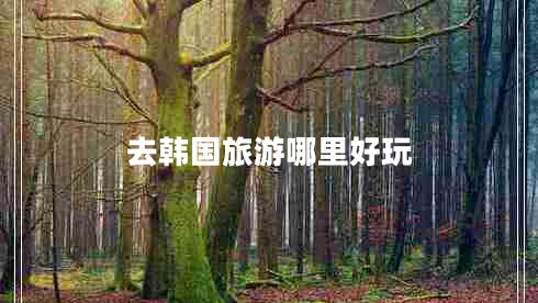 去韓國旅游哪里好玩 去韓國旅游哪里好玩