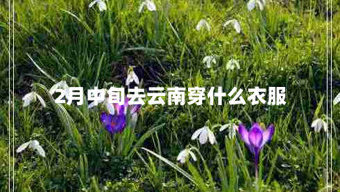 2月中旬去云南穿什么衣服 2月中旬去云南穿什么衣服