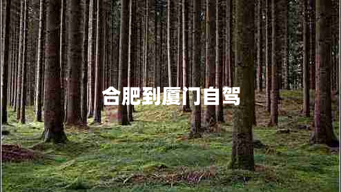 合肥到廈門自駕