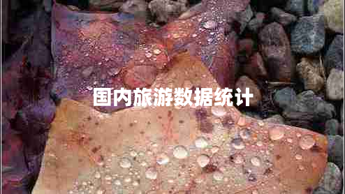國內(nèi)旅游數(shù)據(jù)統(tǒng)計