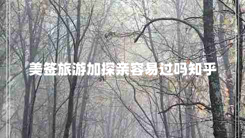 美簽旅游加探親容易過(guò)嗎知乎