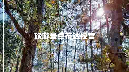 旅游景點布達拉宮 旅游景點布達拉宮