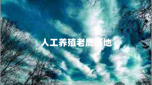 人工養(yǎng)殖老鷹基地