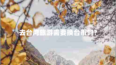 去臺(tái)灣旅游需要換臺(tái)幣嗎?