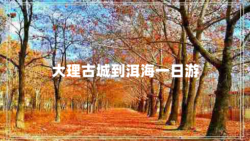 大理古城到洱海一日游 大理古城到洱海一日游