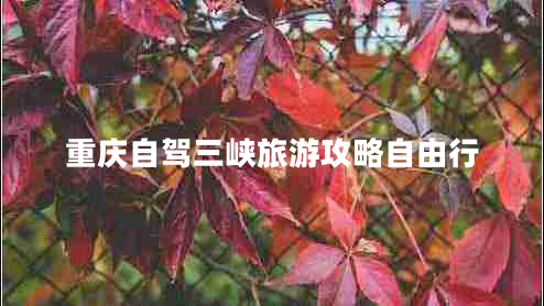 重慶自駕三峽旅游攻略自由行