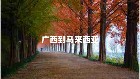 廣西到馬來(lái)西亞