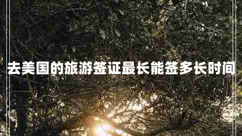 去美國(guó)的旅游簽證最長(zhǎng)能簽多長(zhǎng)時(shí)間 去美國(guó)的旅游簽證最長(zhǎng)能簽多長(zhǎng)時(shí)間
