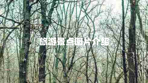 旅游景點圖片介紹