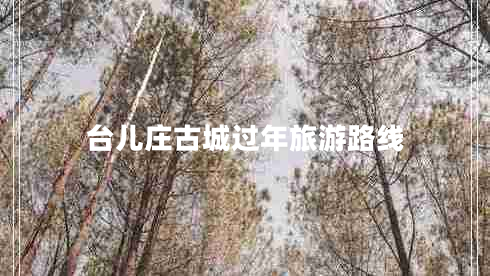 臺(tái)兒莊古城過年旅游路線