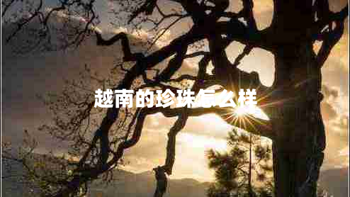 越南的珍珠怎么樣