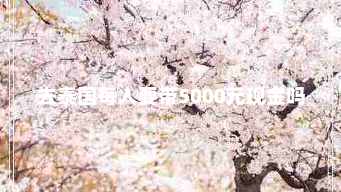 去泰國每人要帶5000元現(xiàn)金嗎