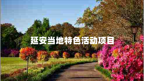 延安當(dāng)?shù)靥厣顒禹椖? title=