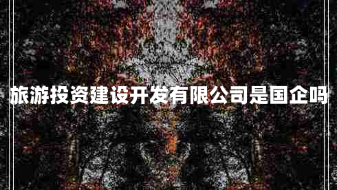 旅游投資建設(shè)開發(fā)有限公司是國企嗎