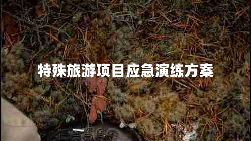 特殊旅游項目應急演練方案