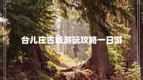 臺兒莊古城游玩攻略一日游