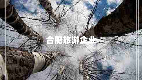 合肥旅游企業(yè)