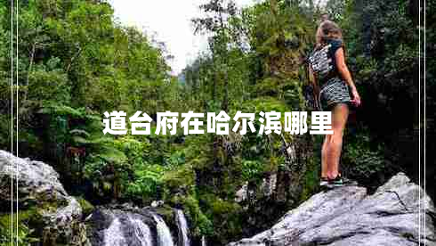 道臺(tái)府在哈爾濱哪里 道臺(tái)府在哈爾濱哪里