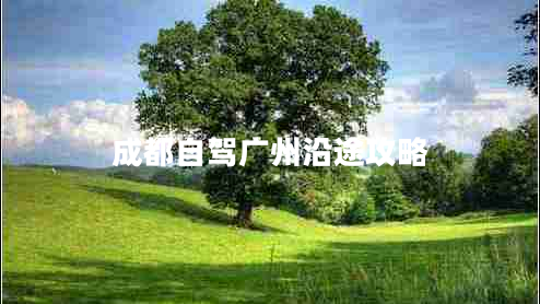 成都自駕廣州沿途攻略