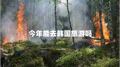 今年能去韓國旅游嗎