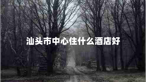 汕頭市中心住什么酒店好 汕頭市中心住什么酒店好