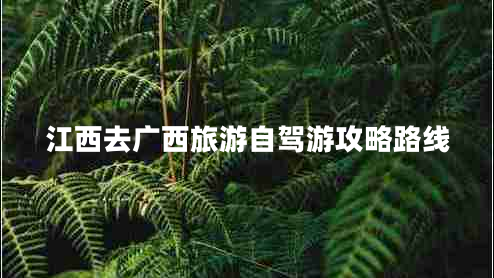 江西去廣西旅游自駕游攻略路線 江西去廣西旅游自駕游攻略路線