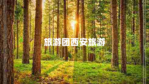 旅游團西安旅游