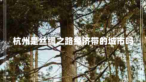 杭州是絲綢之路經(jīng)濟(jì)帶的城市嗎