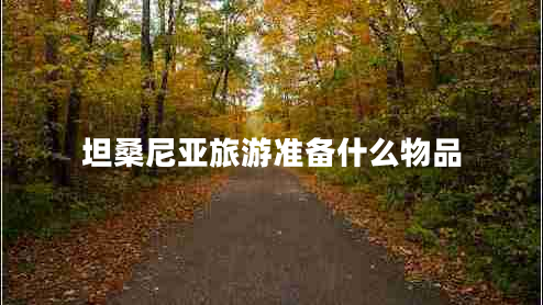 坦桑尼亞旅游準備什么物品