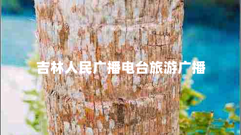 吉林人民廣播電臺旅游廣播 吉林人民廣播電臺旅游廣播