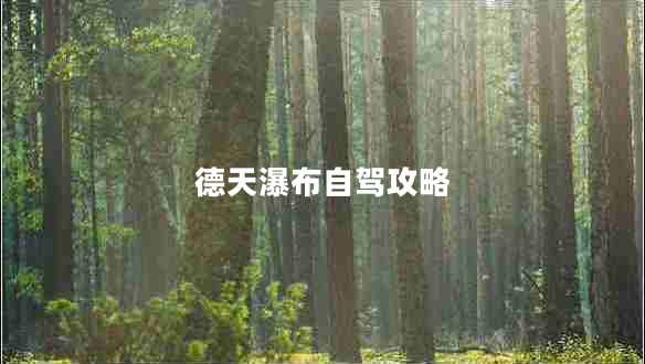 德天瀑布自駕攻略