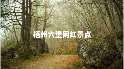 梧州六堡網(wǎng)紅景點