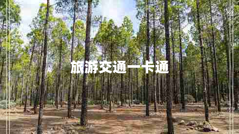 旅游交通一卡通 旅游交通一卡通