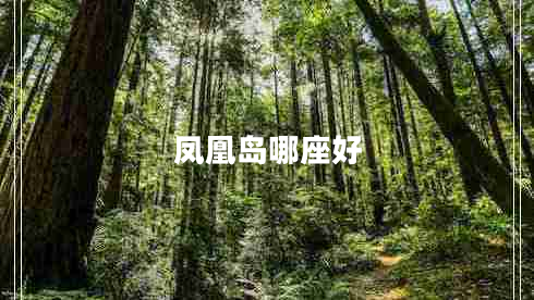 鳳凰島哪座好 鳳凰島哪座好
