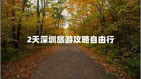 2天深圳旅游攻略自由行
