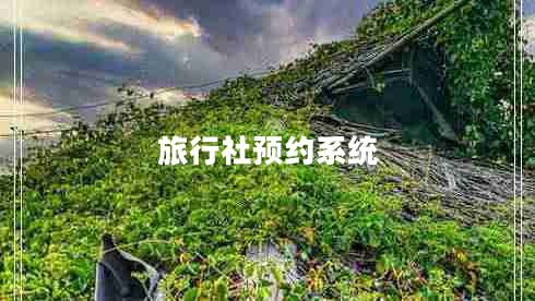 旅行社預(yù)約系統(tǒng) 旅行社預(yù)約系統(tǒng)