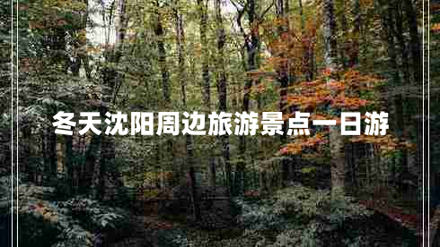 冬天沈陽周邊旅游景點(diǎn)一日游