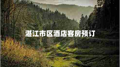 湛江市區(qū)酒店客房預(yù)訂