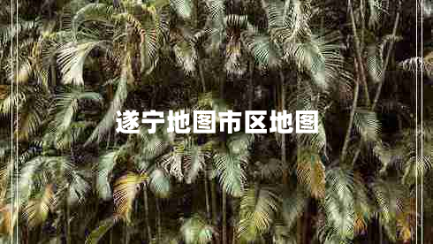 遂寧地圖市區(qū)地圖