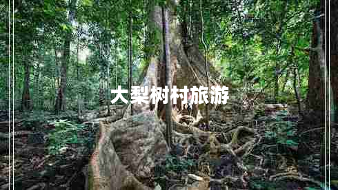 大梨樹村旅游 大梨樹村旅游