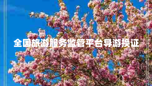 全國旅游服務(wù)監(jiān)管平臺導游換證
