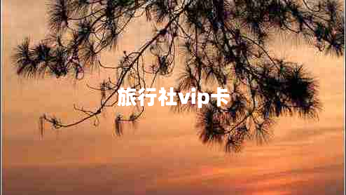 旅行社vip卡 旅行社vip卡