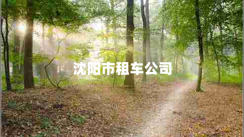 沈陽市租車公司 沈陽市租車公司