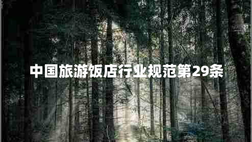 中國(guó)旅游飯店行業(yè)規(guī)范第29條