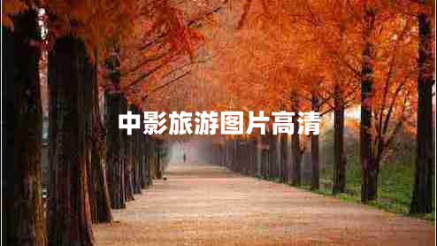 中影旅游圖片高清